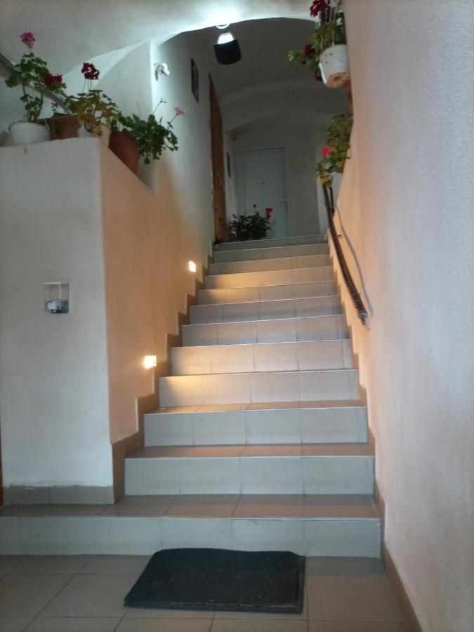Gloria Apartments ซิวิโชอารา ภายนอก รูปภาพ